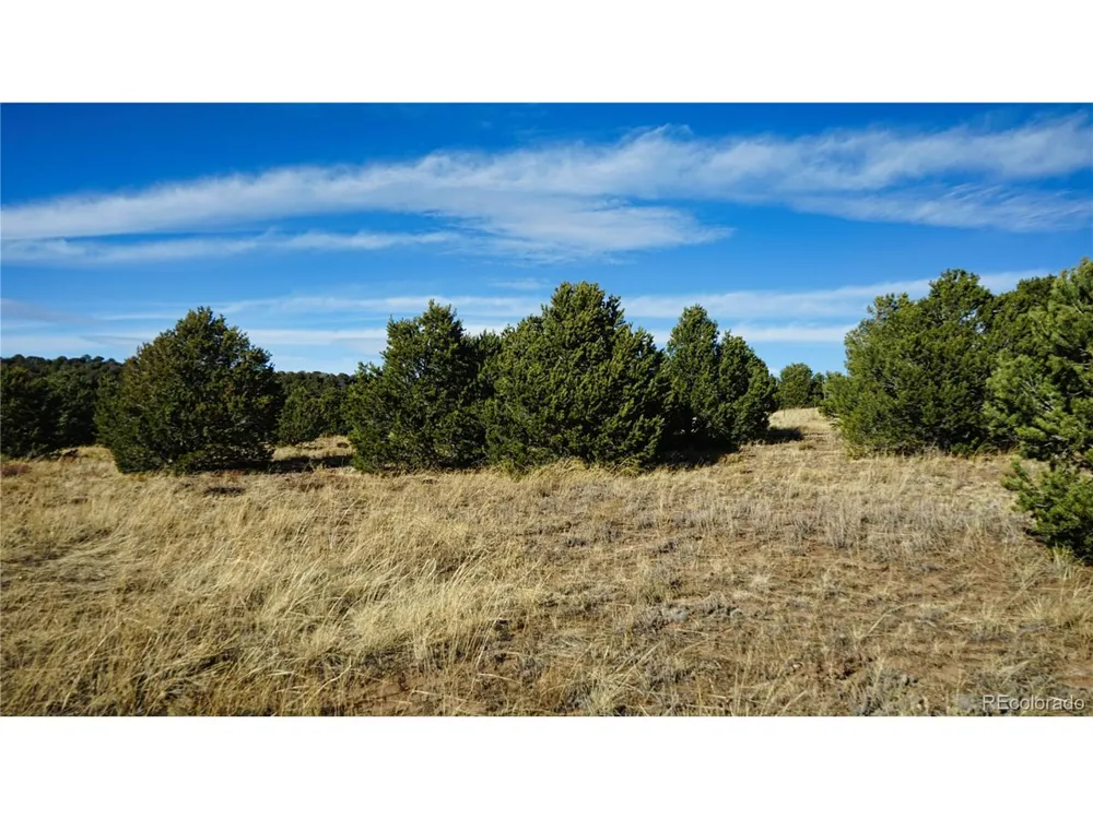 37 Navajo Ranch Resorts #4 Walsenburg, CO 81089