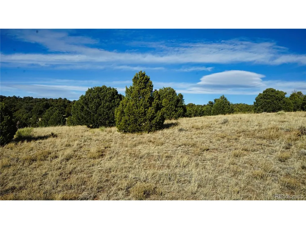 37 Navajo Ranch Resorts #4 Walsenburg, CO 81089