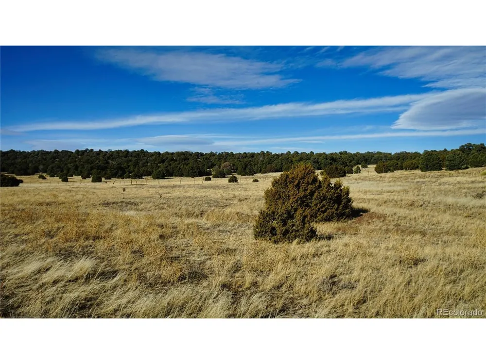 37 Navajo Ranch Resorts #4 Walsenburg, CO 81089