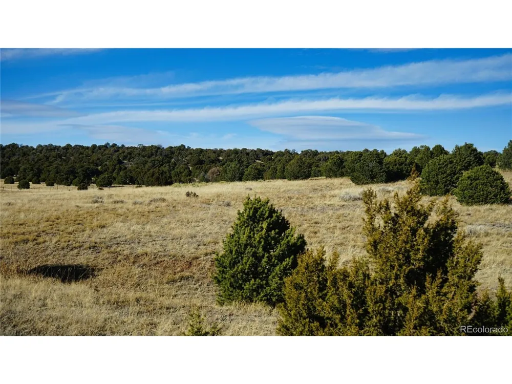 37 Navajo Ranch Resorts #4 Walsenburg, CO 81089