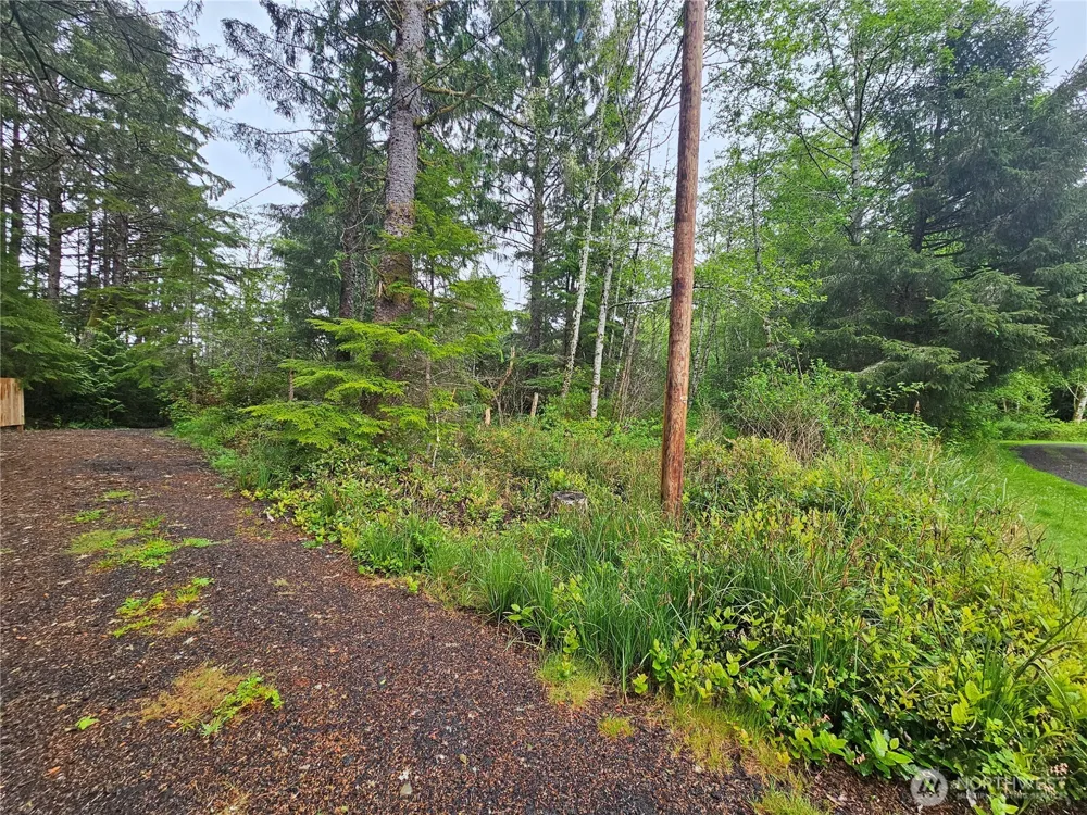 0 Patricia Drive Copalis Beach, WA 98535