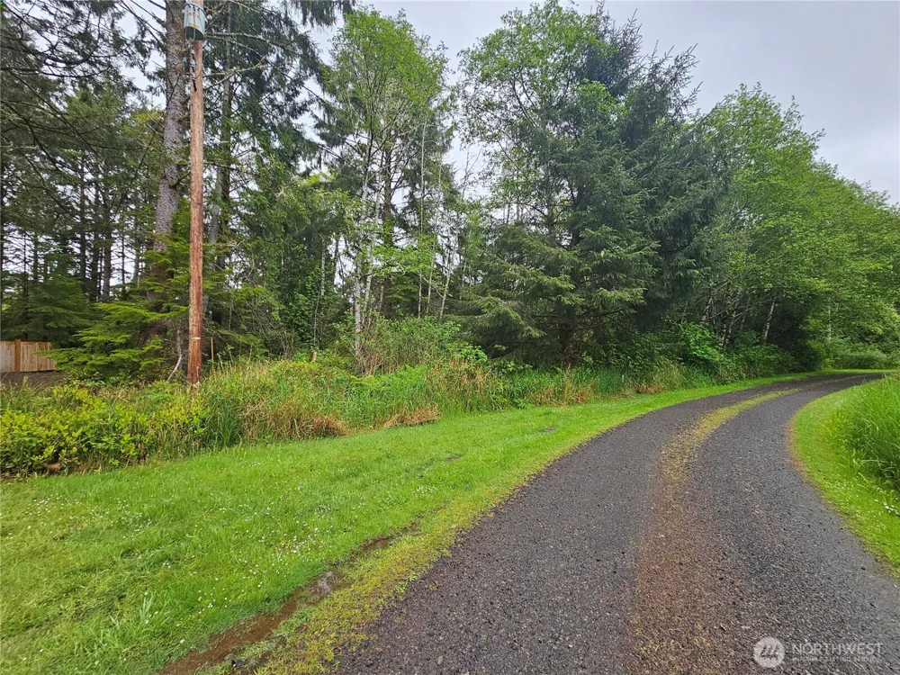 0 Patricia Drive Copalis Beach, WA 98535