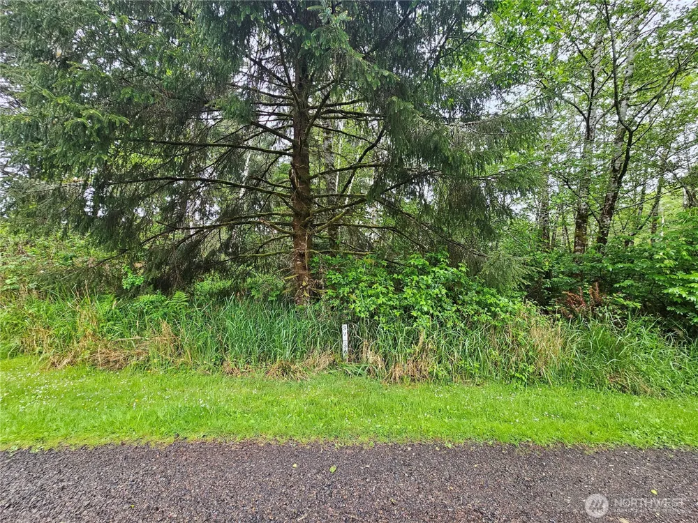 0 Patricia Drive Copalis Beach, WA 98535