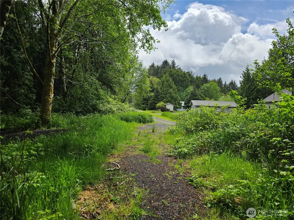 0 Patricia Drive Copalis Beach, WA 98535