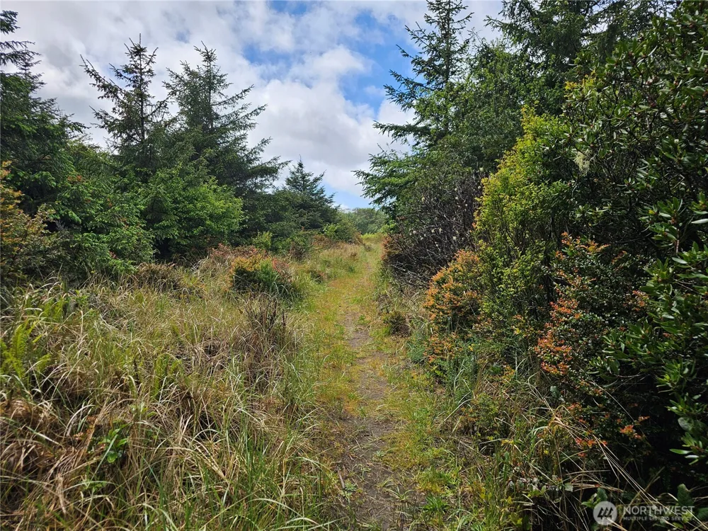 0 Patricia Drive Copalis Beach, WA 98535