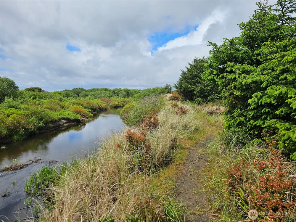 0 Patricia Drive Copalis Beach, WA 98535