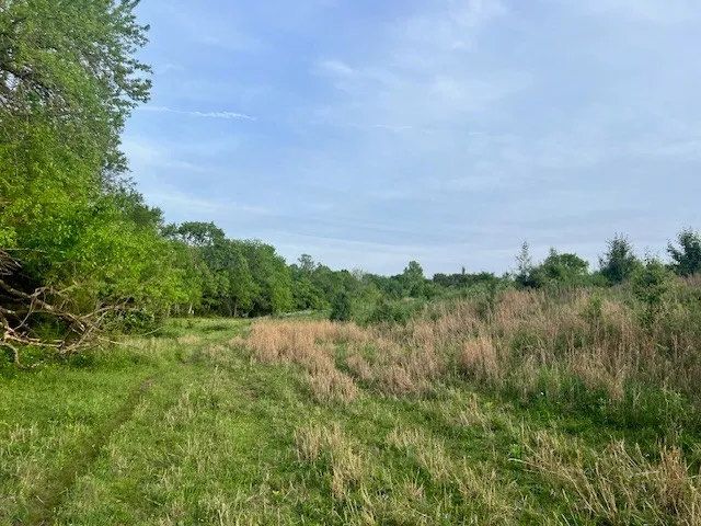 698 Clearview Rd Cottontown, TN 37048