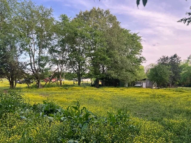 698 Clearview Rd Cottontown, TN 37048