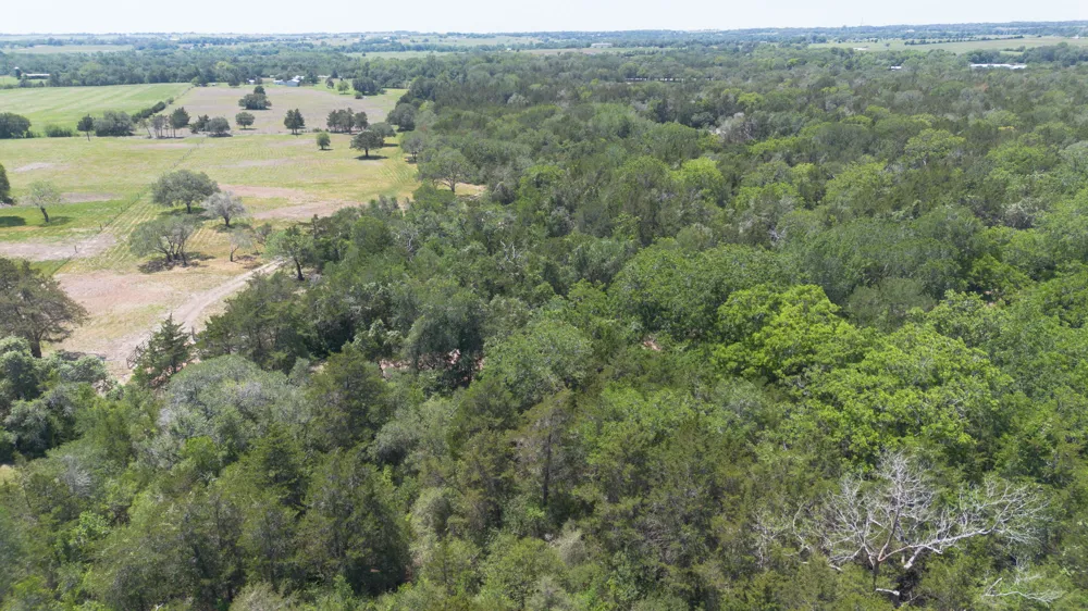 2088 Baca Loop Flatonia, TX 78941