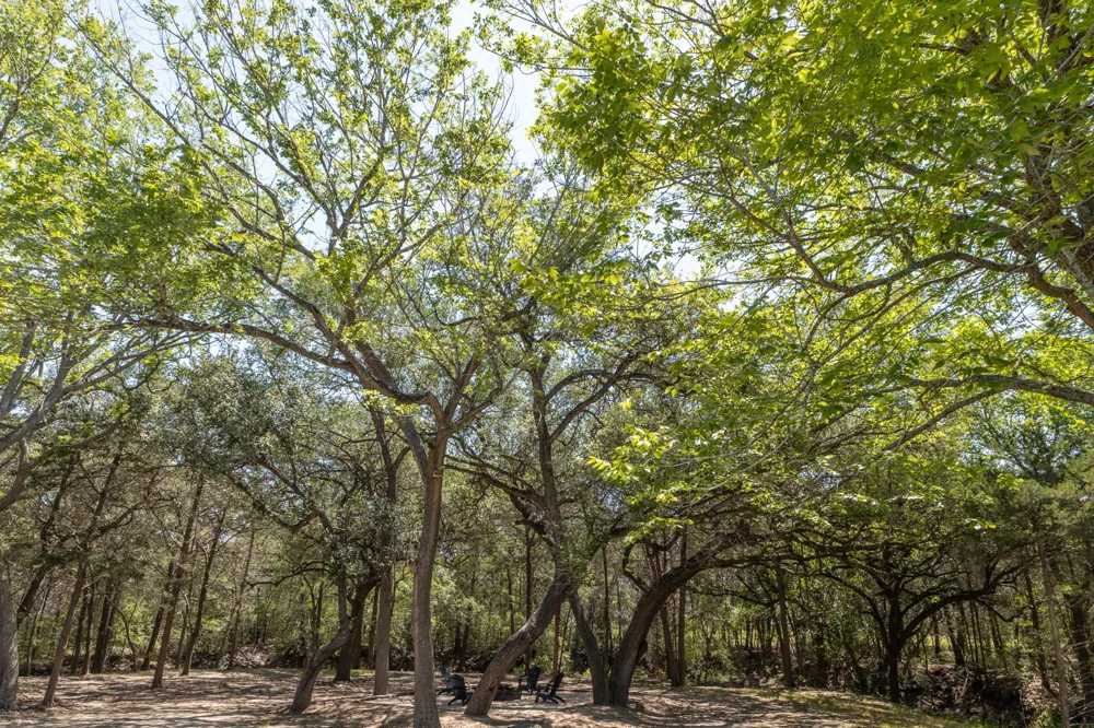 2088 Baca Loop Flatonia, TX 78941