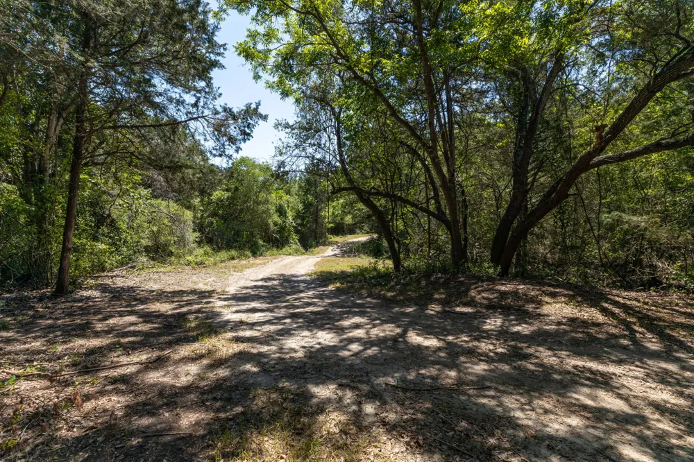 2088 Baca Loop Flatonia, TX 78941
