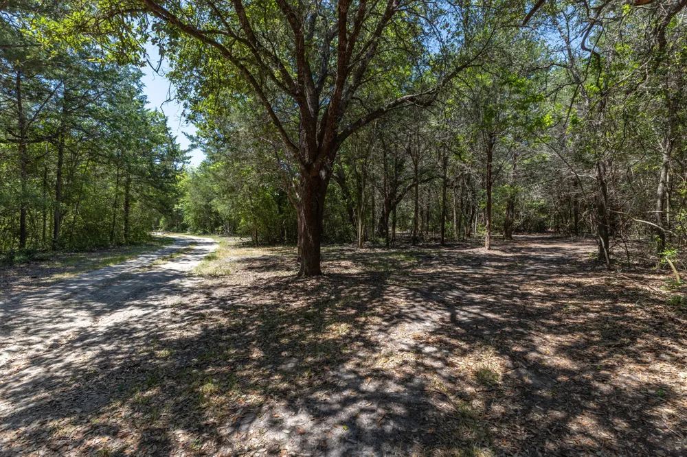 2088 Baca Loop Flatonia, TX 78941