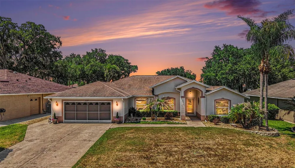 11132 MOSHIE LANE San Antonio, FL 33576