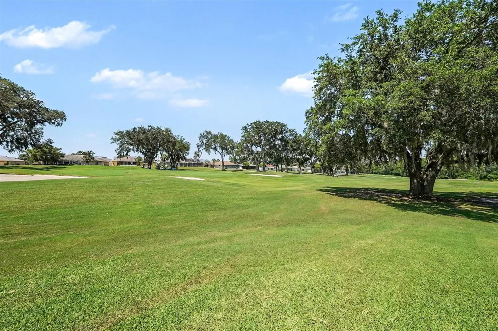 11132 MOSHIE LANE San Antonio, FL 33576
