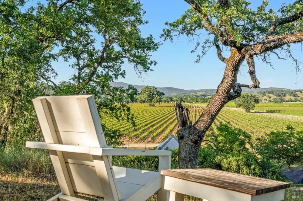 1785 Pope Canyon Road St. Helena, CA 94574