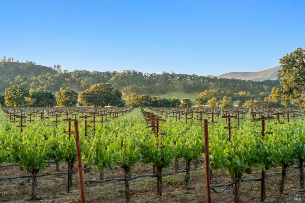 1785 Pope Canyon Road St. Helena, CA 94574