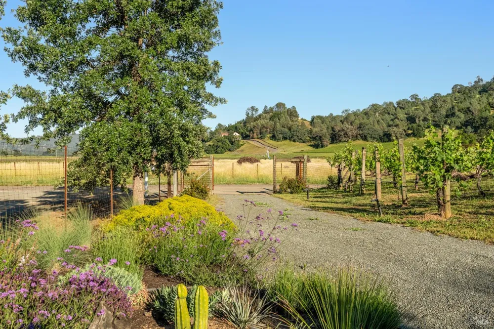 1785 Pope Canyon Road St. Helena, CA 94574