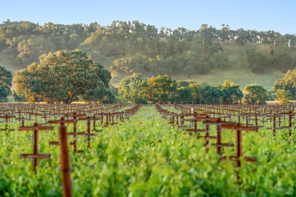 1785 Pope Canyon Road St. Helena, CA 94574