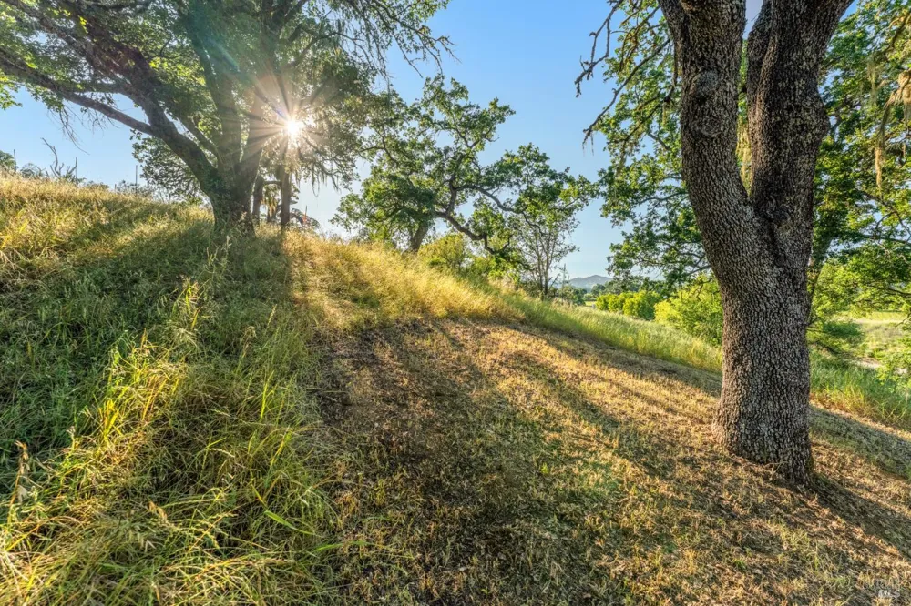 1785 Pope Canyon Road St. Helena, CA 94574