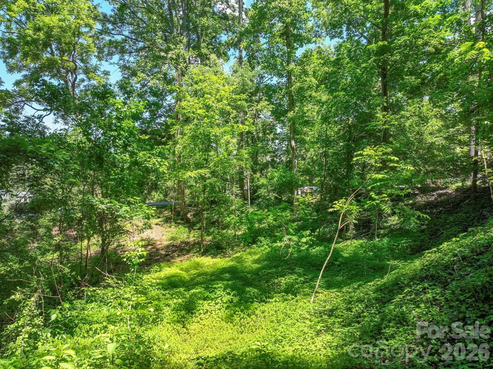 99999 Montford Avenue Asheville, NC 28801