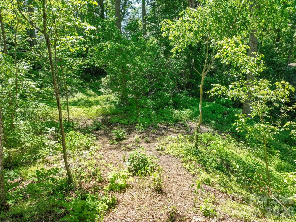 99999 Montford Avenue Asheville, NC 28801