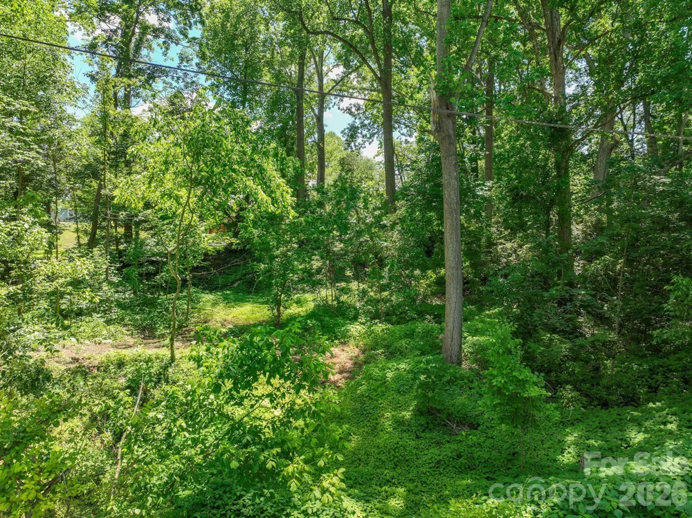99999 Montford Avenue Asheville, NC 28801