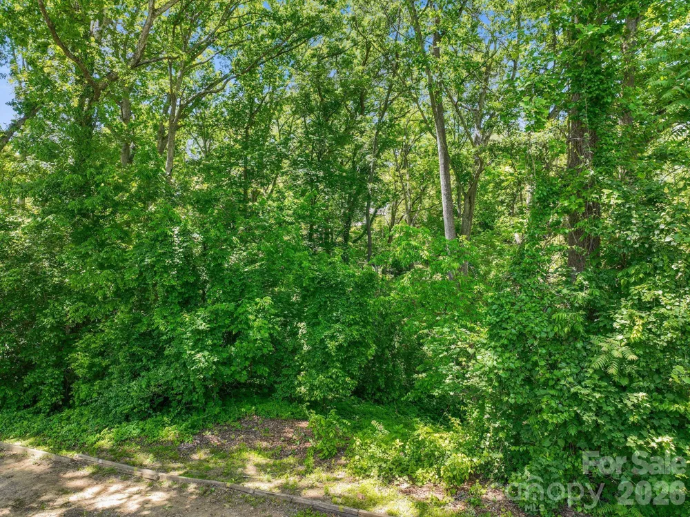 99999 Montford Avenue Asheville, NC 28801