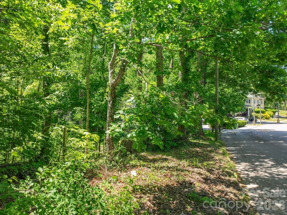 99999 Montford Avenue Asheville, NC 28801
