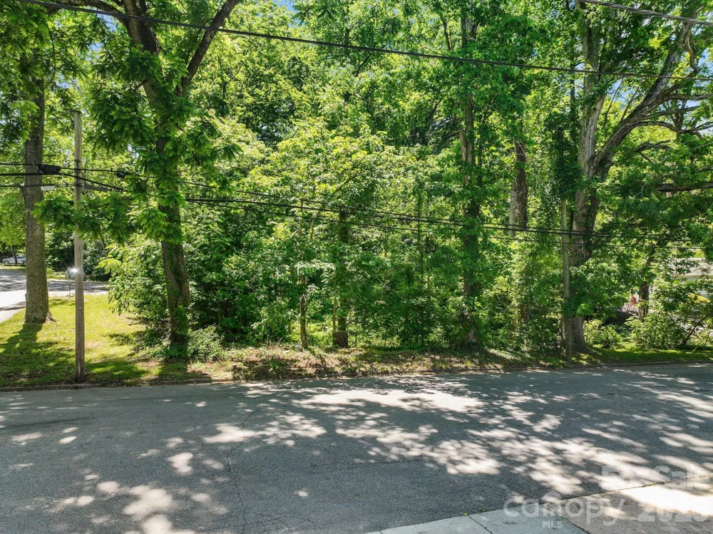 99999 Montford Avenue Asheville, NC 28801