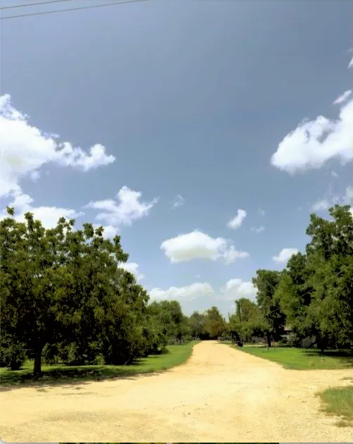 43 Skycrest Drive Martindale, TX 78655