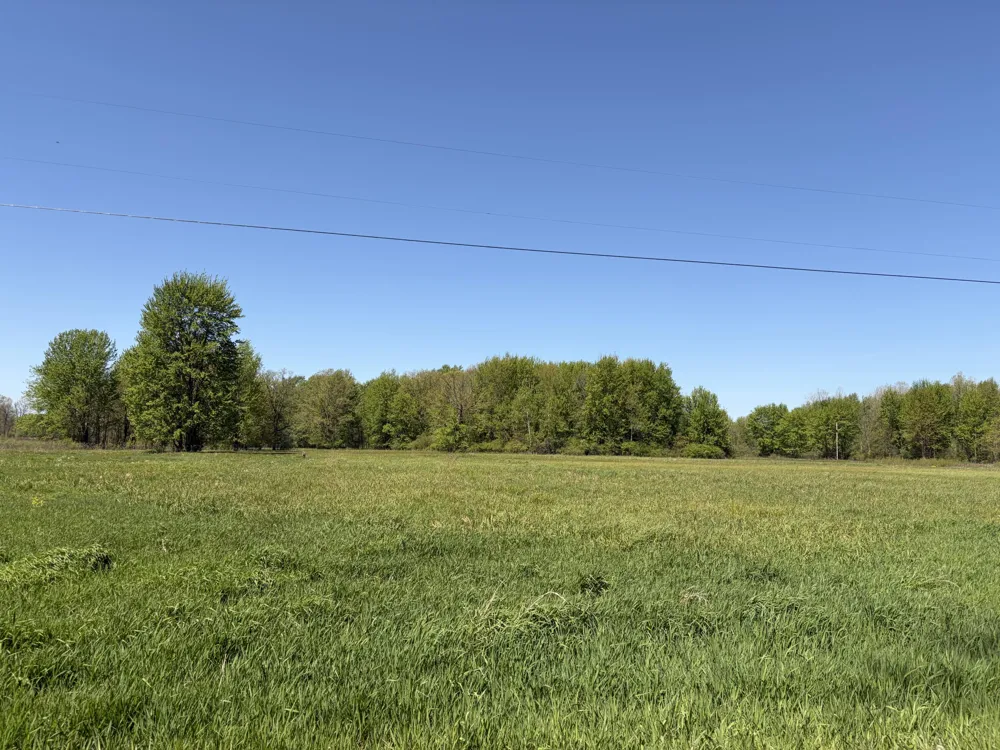 40th Street #Parcel B Paw Paw, MI 49079