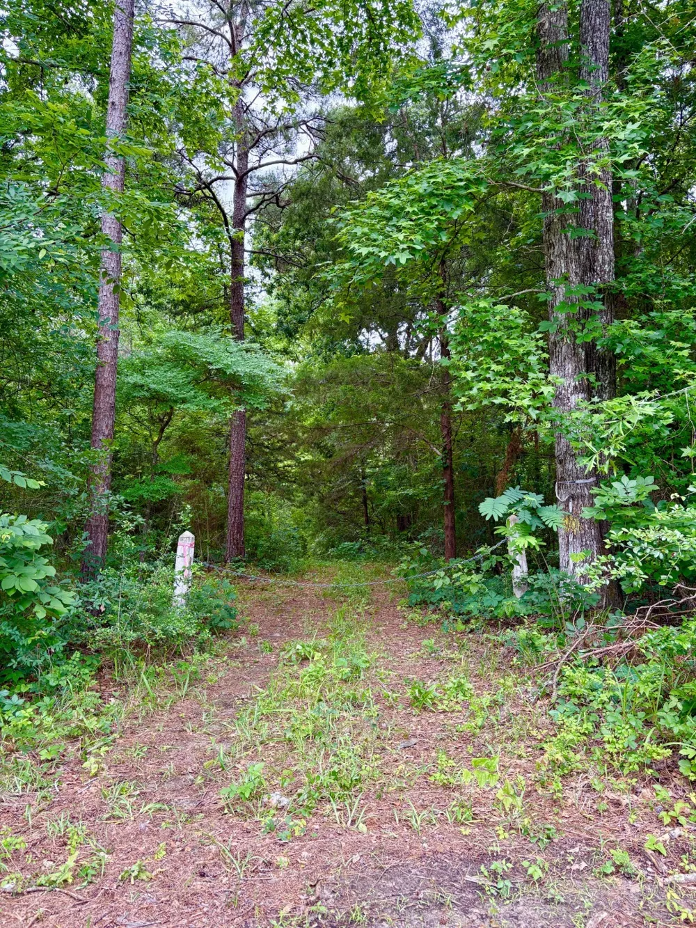 County Road 4504 Jacksonville, TX 75766