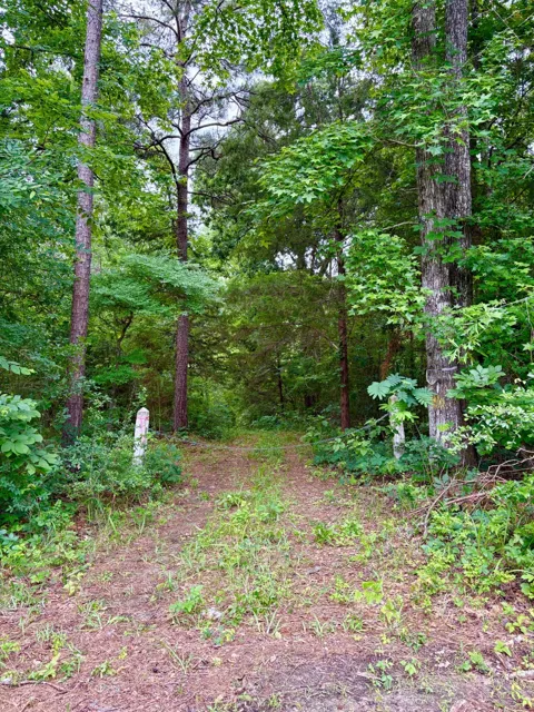 County Road 4504