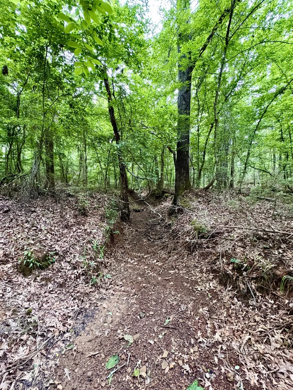 County Road 4504 Jacksonville, TX 75766