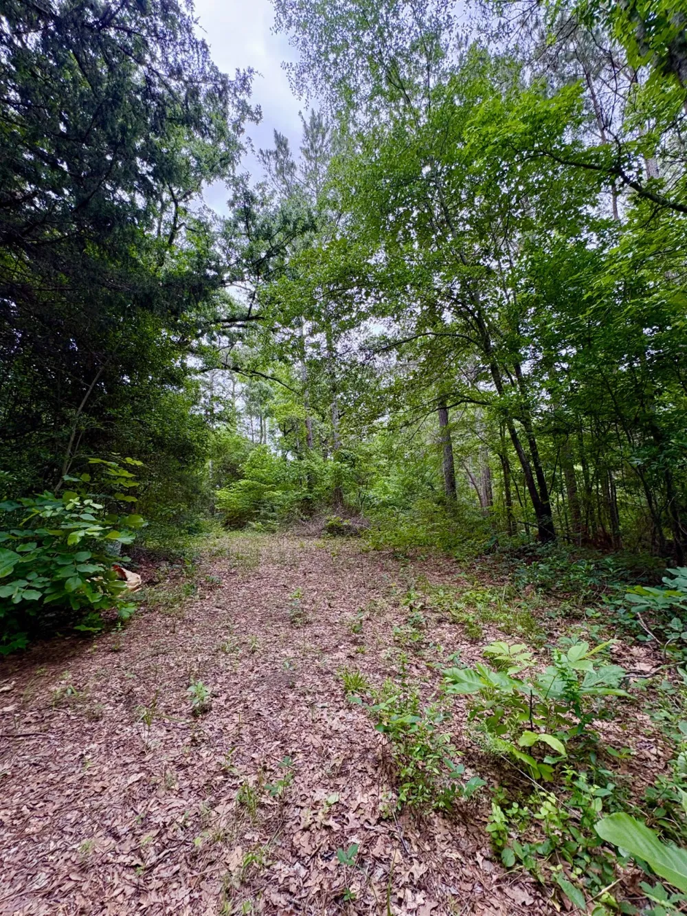 County Road 4504 Jacksonville, TX 75766