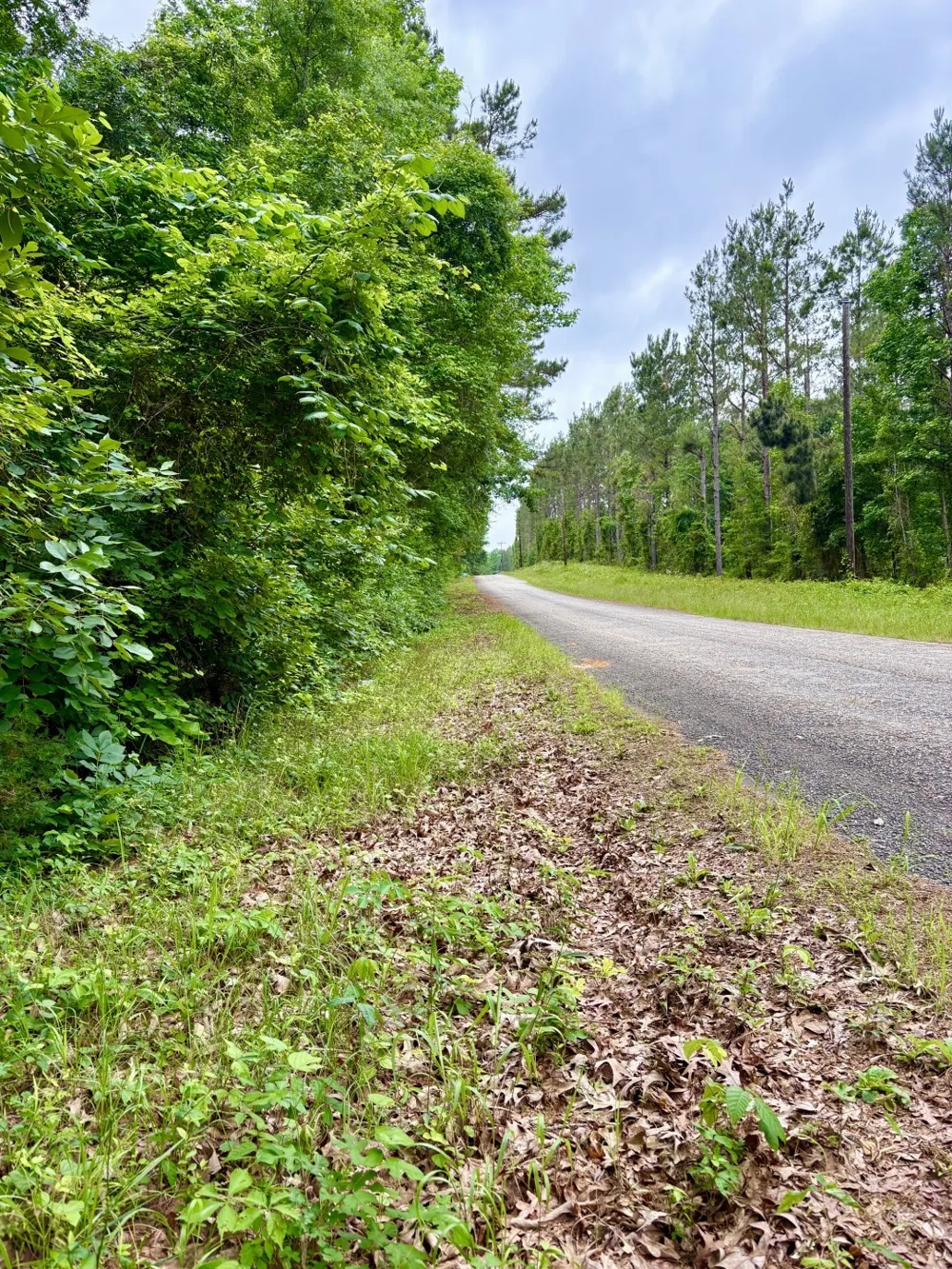 County Road 4504 Jacksonville, TX 75766