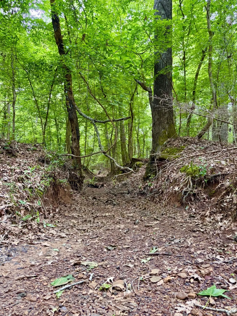 County Road 4504 Jacksonville, TX 75766