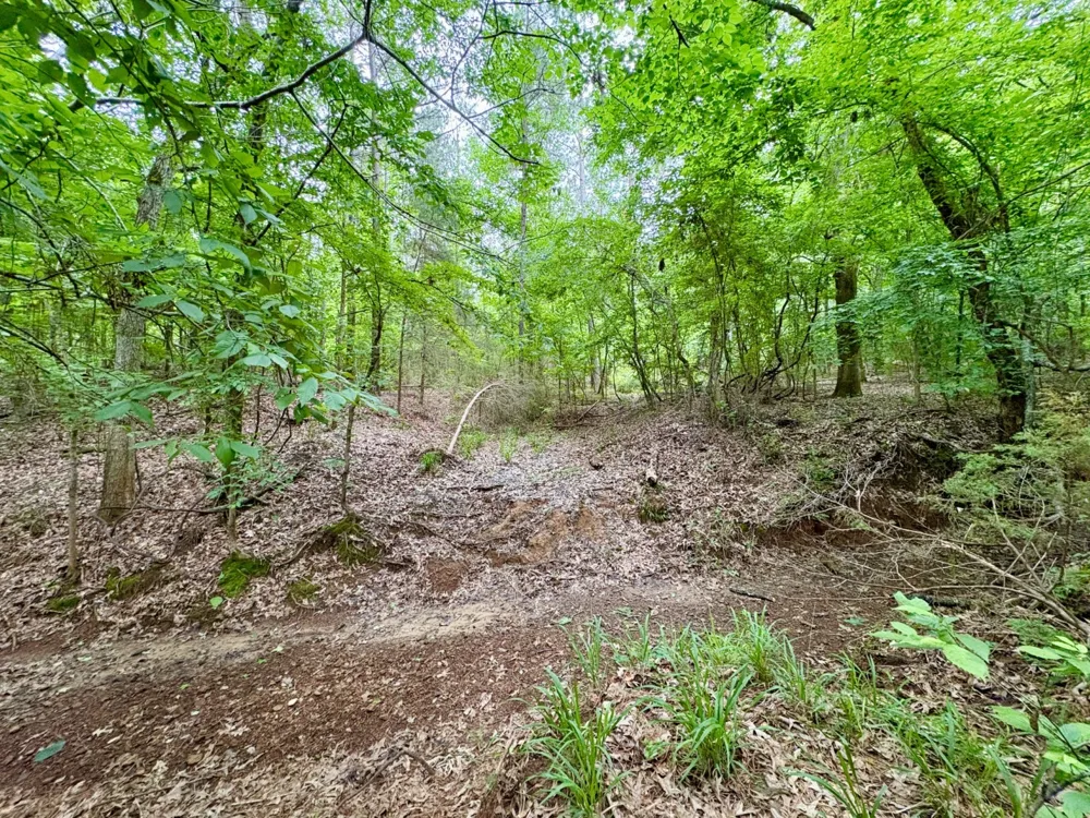 County Road 4504 Jacksonville, TX 75766