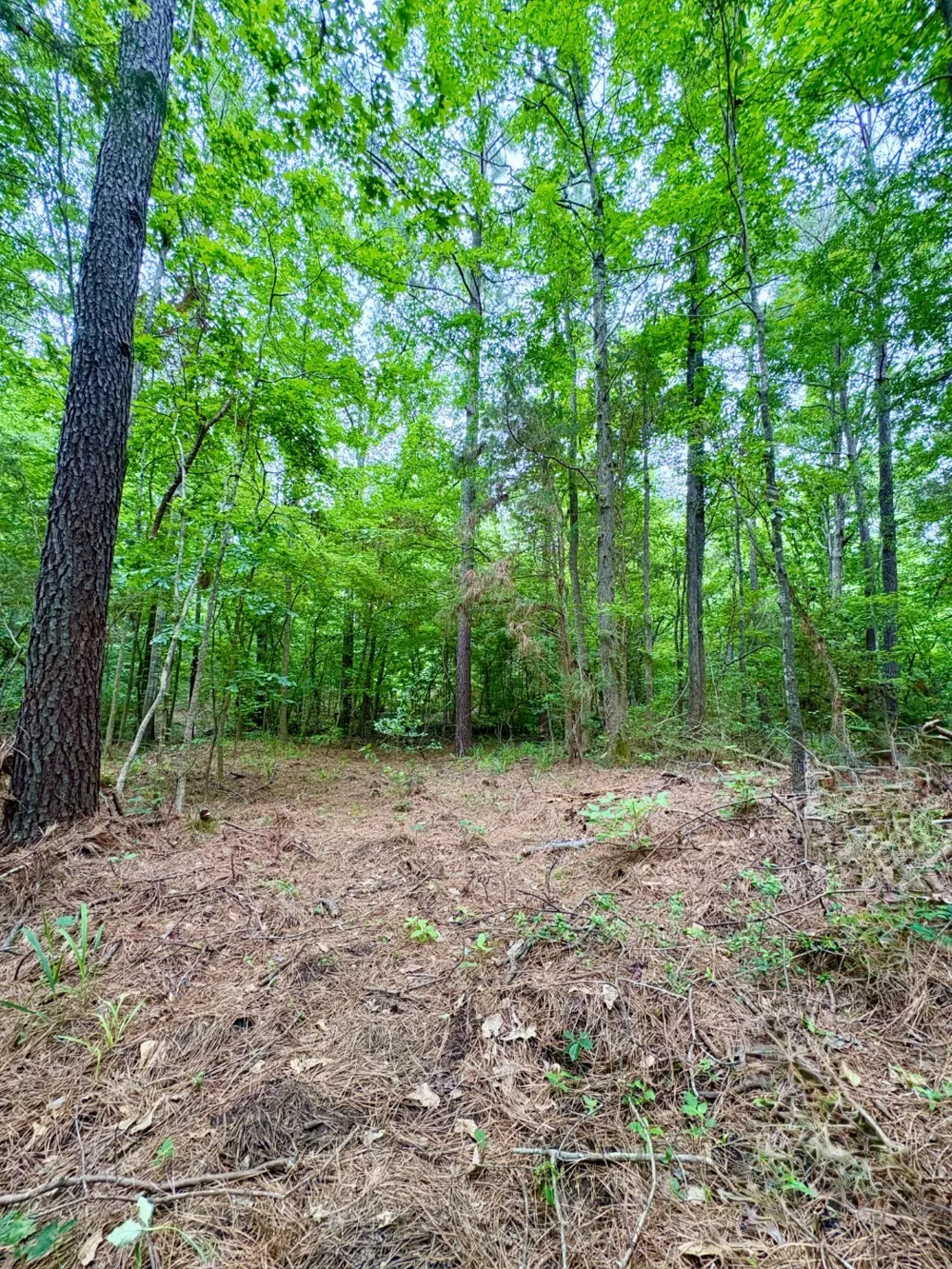 County Road 4504 Jacksonville, TX 75766
