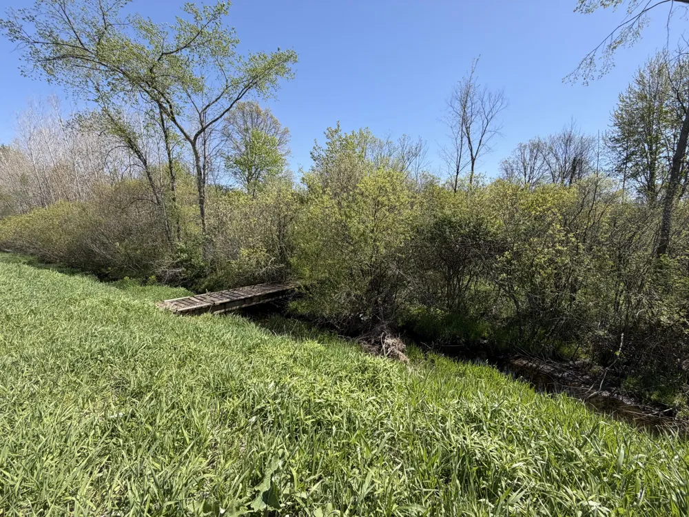 41st Street #Parcel D Paw Paw, MI 49079