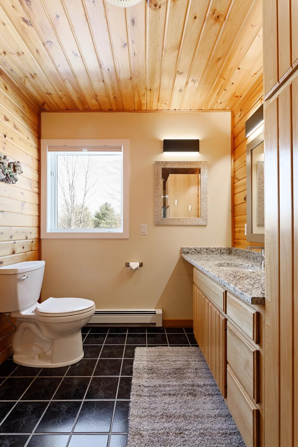 10746 Deal Road Whitewater Township, MI 49690