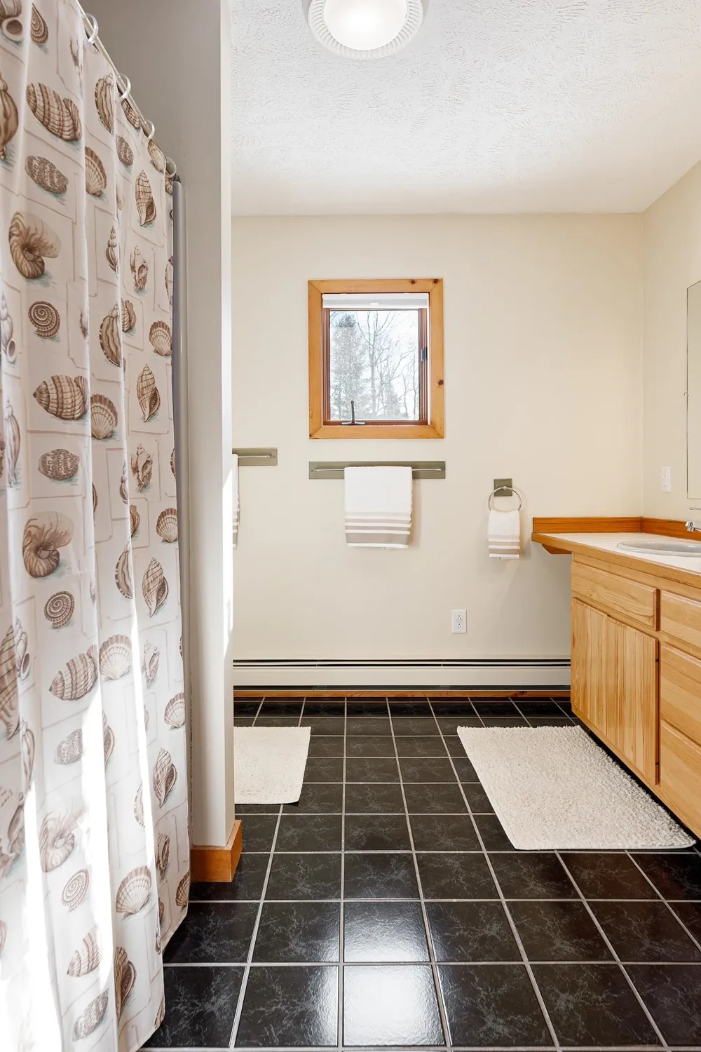 10746 Deal Road Whitewater Township, MI 49690