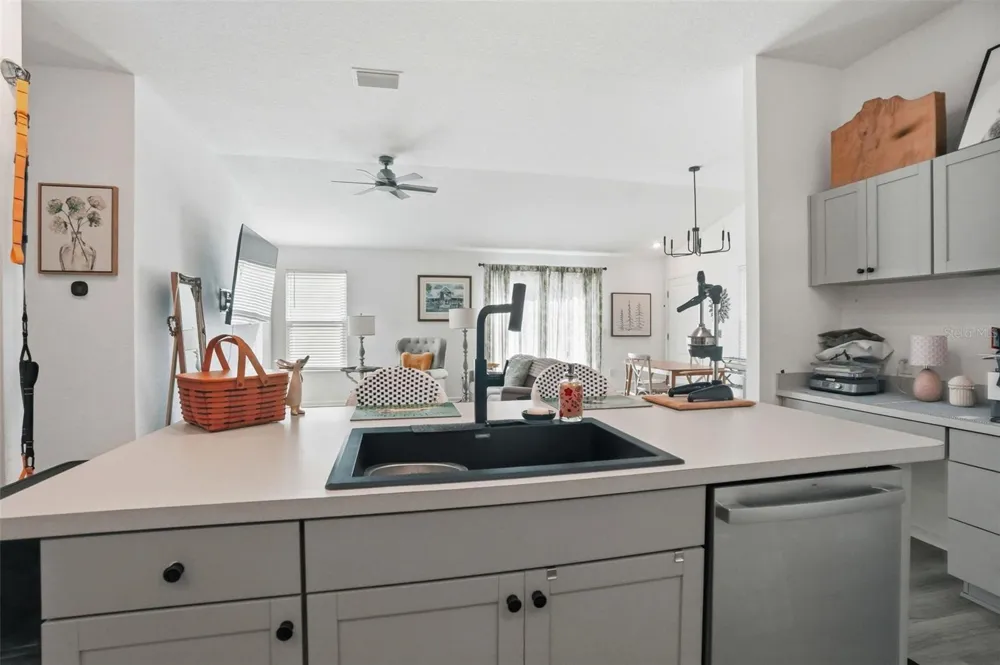 862 SPRING AVENUE The Villages, FL 34762