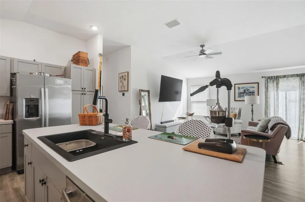 862 SPRING AVENUE The Villages, FL 34762