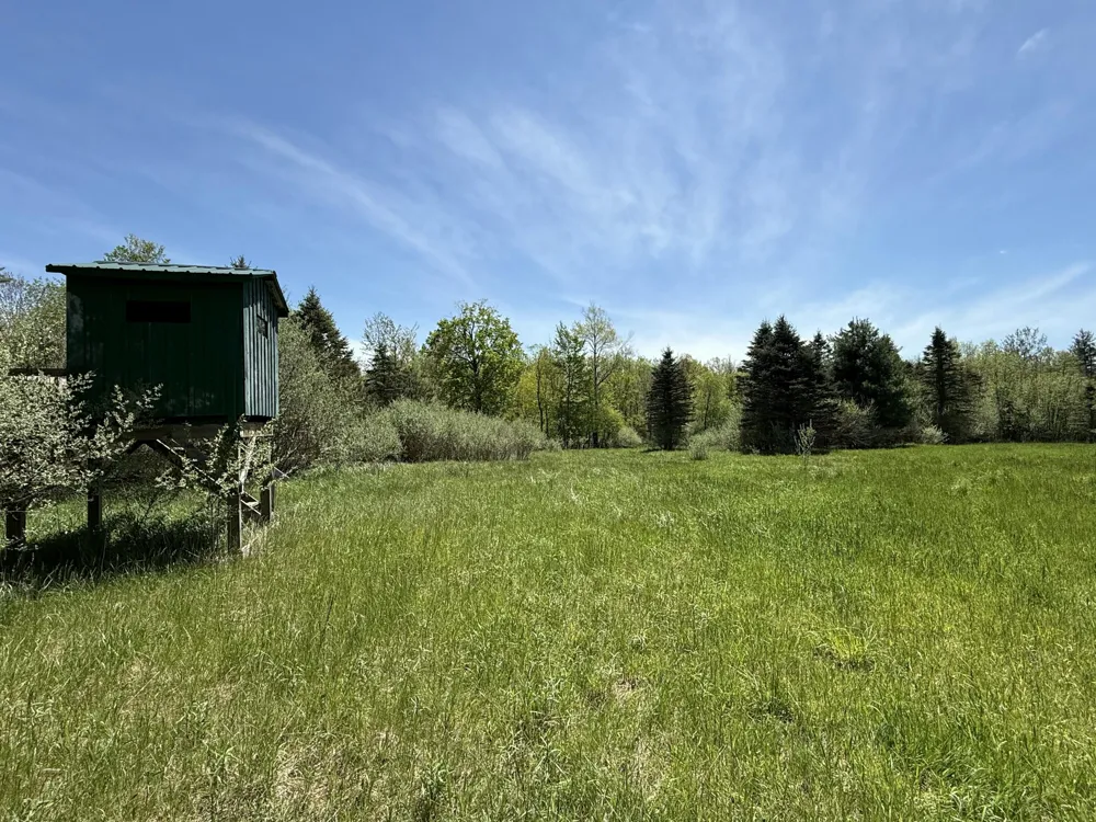 McBride Road NW Stanton, MI 48888