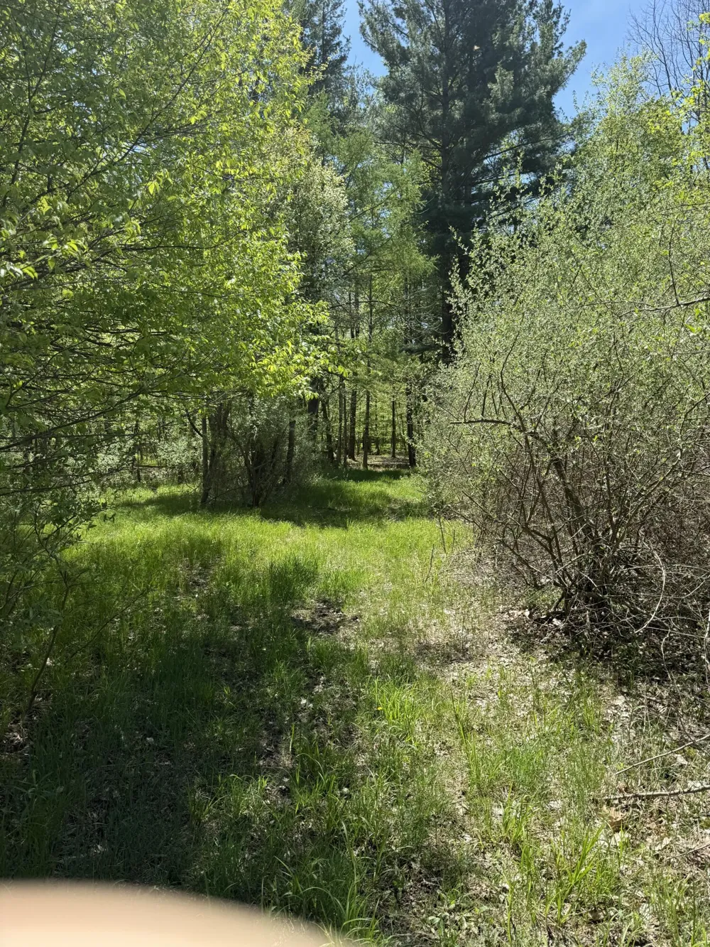 McBride Road NW Stanton, MI 48888