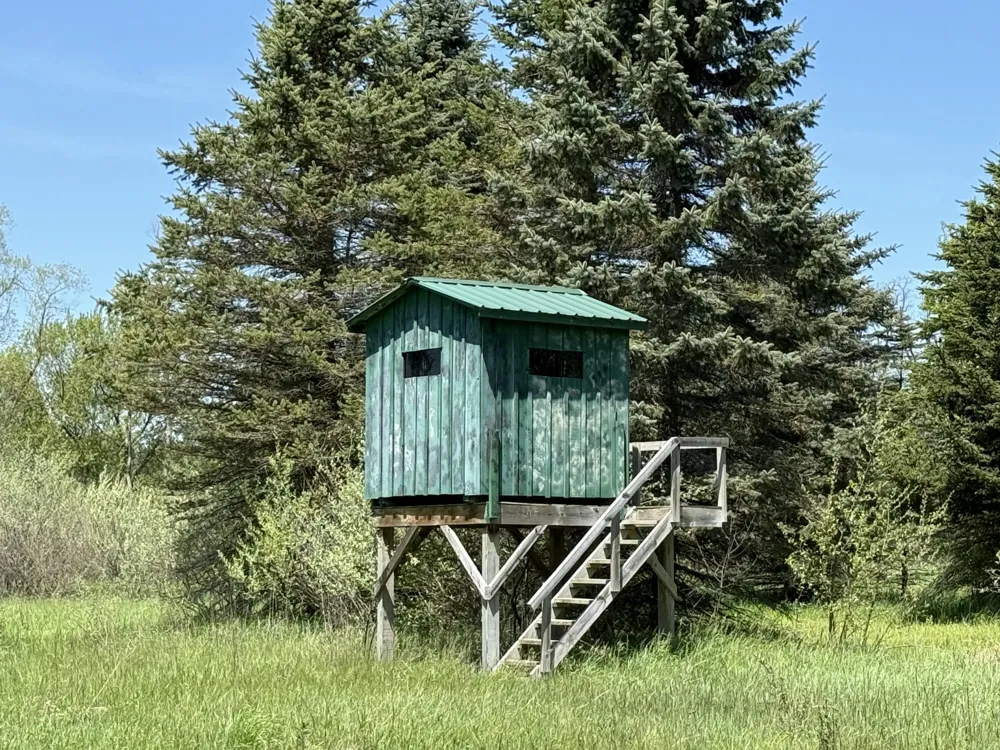 McBride Road NW Stanton, MI 48888