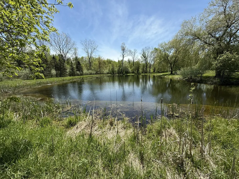 McBride Road NW Stanton, MI 48888