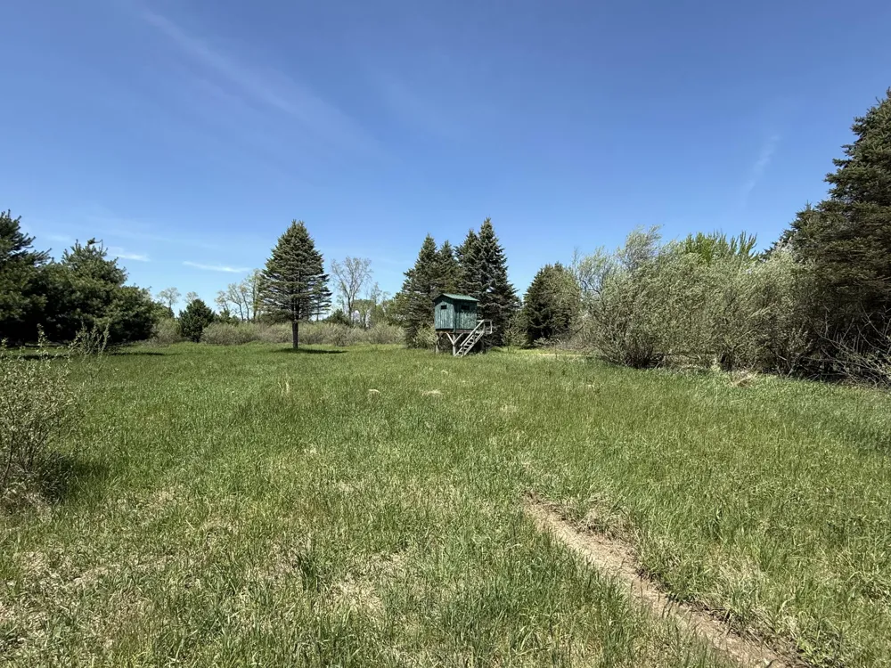 McBride Road NW Stanton, MI 48888