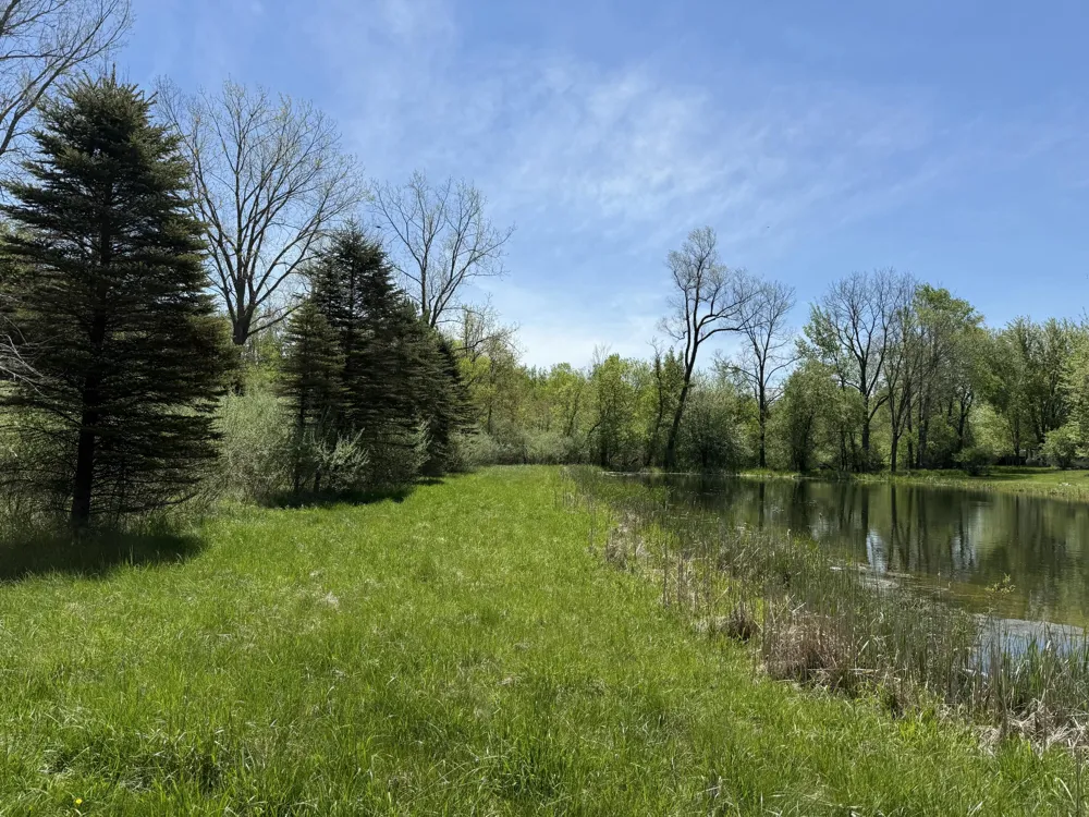 McBride Road NW Stanton, MI 48888